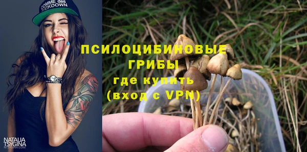 Альфа ПВП Абаза