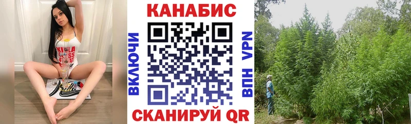 Конопля план  Электроугли 